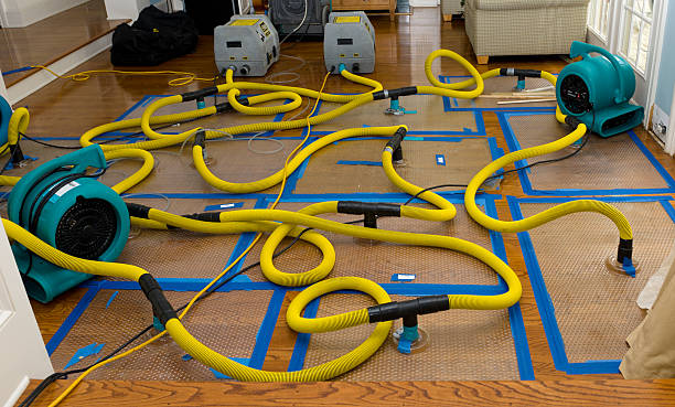 Professional Burst Pipe Water Damage technician working in Holly Hill, FL